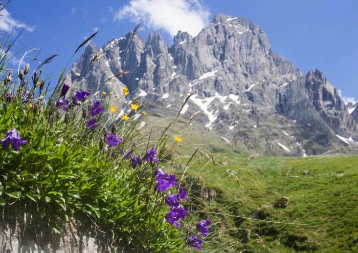 Transcaucasian Trail